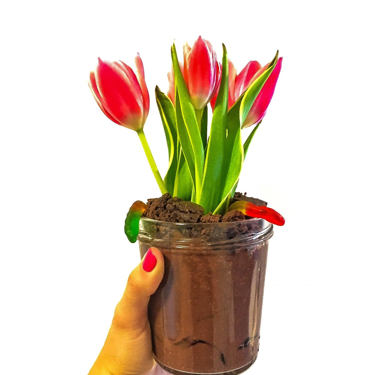 HAPPY #EarthDay2020 ! We got a little creative in the kitchen with our sweet friend <a href="/FeedYourSister/">Elia@FeedYourSister</a>, to create these GRAIN-FREE DIRT N' WORM JARS!🌷Elia used our Double Chocolate muffins as the "dirt," and dairy-free chocolate avocado pudding as the base. Visit our IG for more.🌱