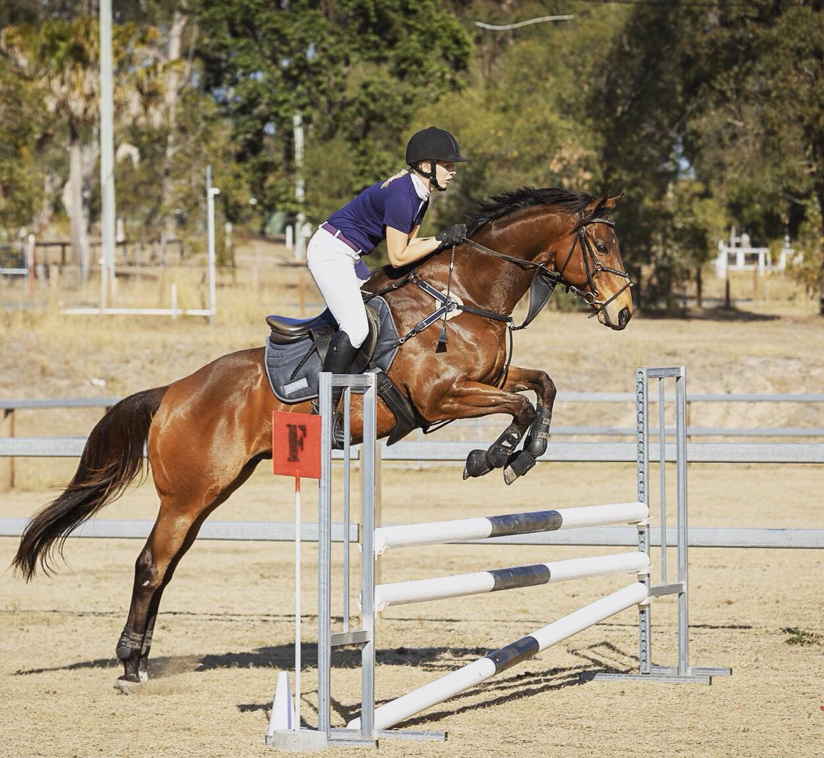 CALLING ALL INTERNATIONAL ENTRIES! 
We’d love to see your entries into our FREE Online Showing show – comment below where you’re entering from! 
Enter your photos here: bit.ly/VWentries
 
Photo: Lisa Jones and Electronic Fortune for Class 8.