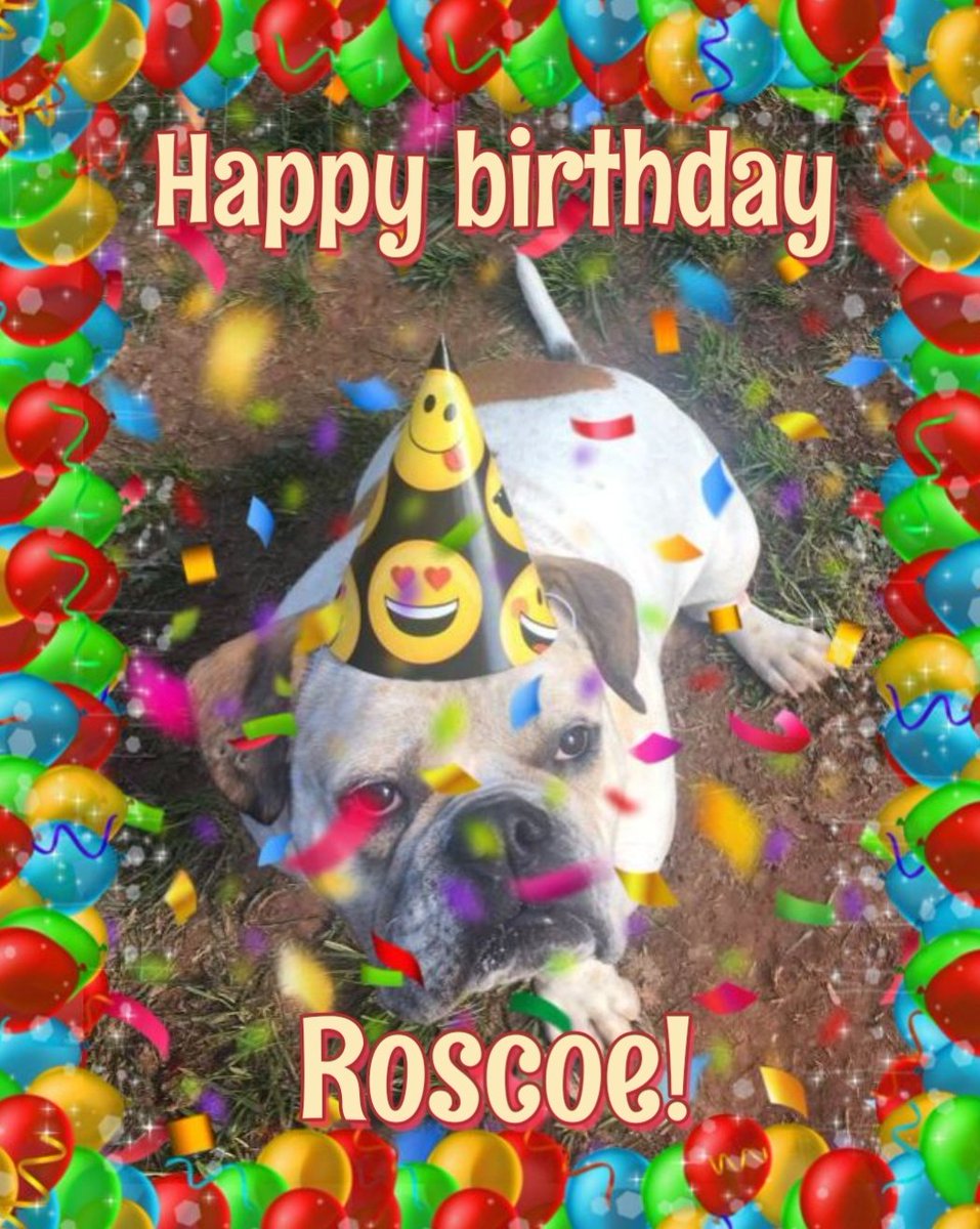 ClaytoonSquad's tweet photo. Angels let's wish my good buddy @RoscoeLonestar a pawsome birthday today! If you're not following him yet, do so! We're trying to get him to 4k followers for his birthday! Thanks! ❤🥳🐾 #angelsquad #dogsoftwitter #birthdaywishes #pawsomedog #followRoscoe #HappyBirthdayRoscoe https://t.co/W1RSkTDInS