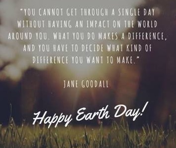 MW_CrackInWall's tweet photo. Earth, you are my very favorite planet. Today, just for today,  not thinking #CORONAVirus (Still hand washing excessively), not thinking of problems to solve. Today I'll look for your treasures in migrating birds, spring ephemerals, and beautiful people. https://t.co/v7sEn9eAQf