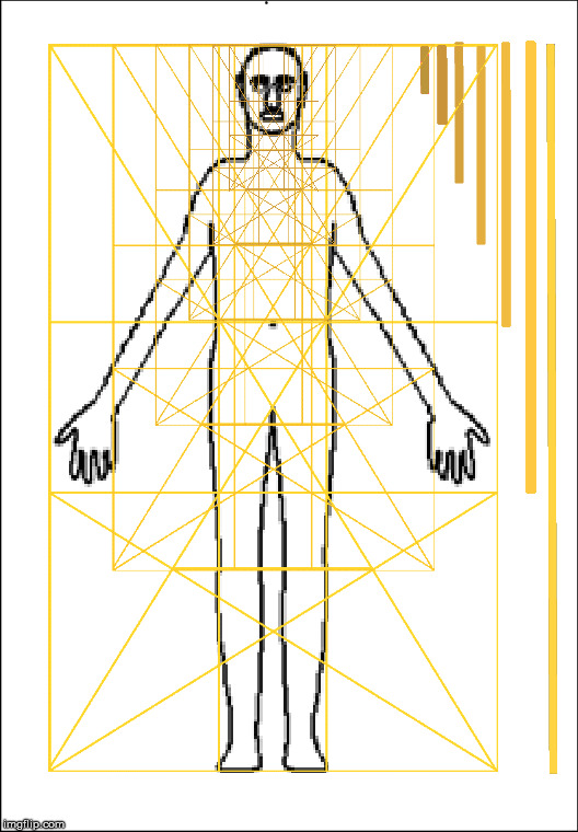The human body and the Golden Ratio.