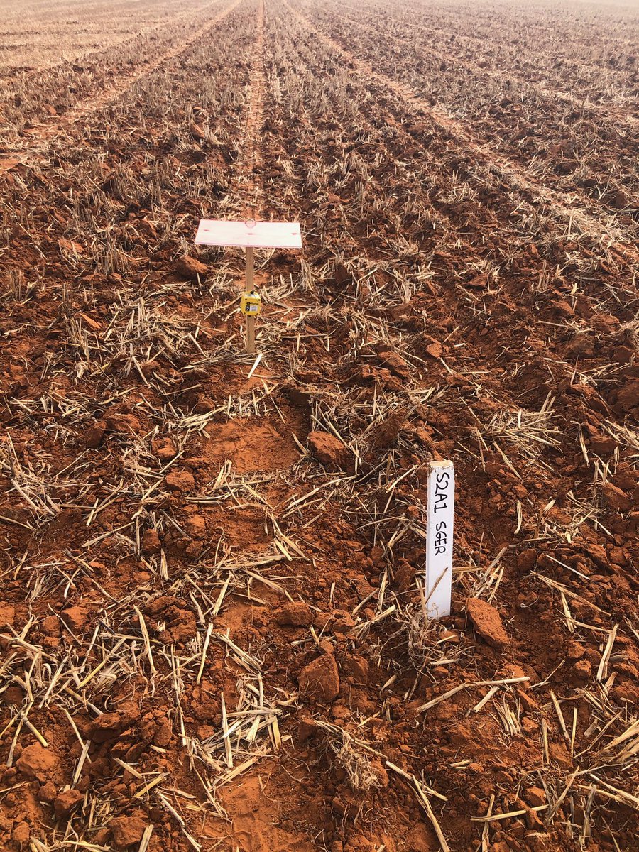 ShafiyaHuss_QP's tweet image. SAGIT - LPB: TOS 1 trials planted yesterday at Geranium, Marrabel and Jamestown!! Project Phase 2- Stage 1 trials at frost prone regions in SA. #SAGIT #AgXtra