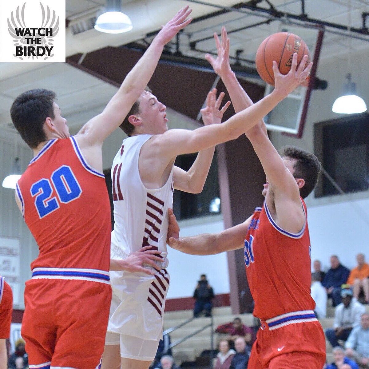 VJBsportsPhoto's tweet photo. Jack Bleier #11 aka Jack attack 3&D @AQBoys_Hoops #VJBSportsPhotography #VJBphotography #GiveUsAShot #Roc #WatchTheBirdy #Americanstoryteller #TheWorldImageCenter #VJB https://t.co/Sc9RKOR1R6
