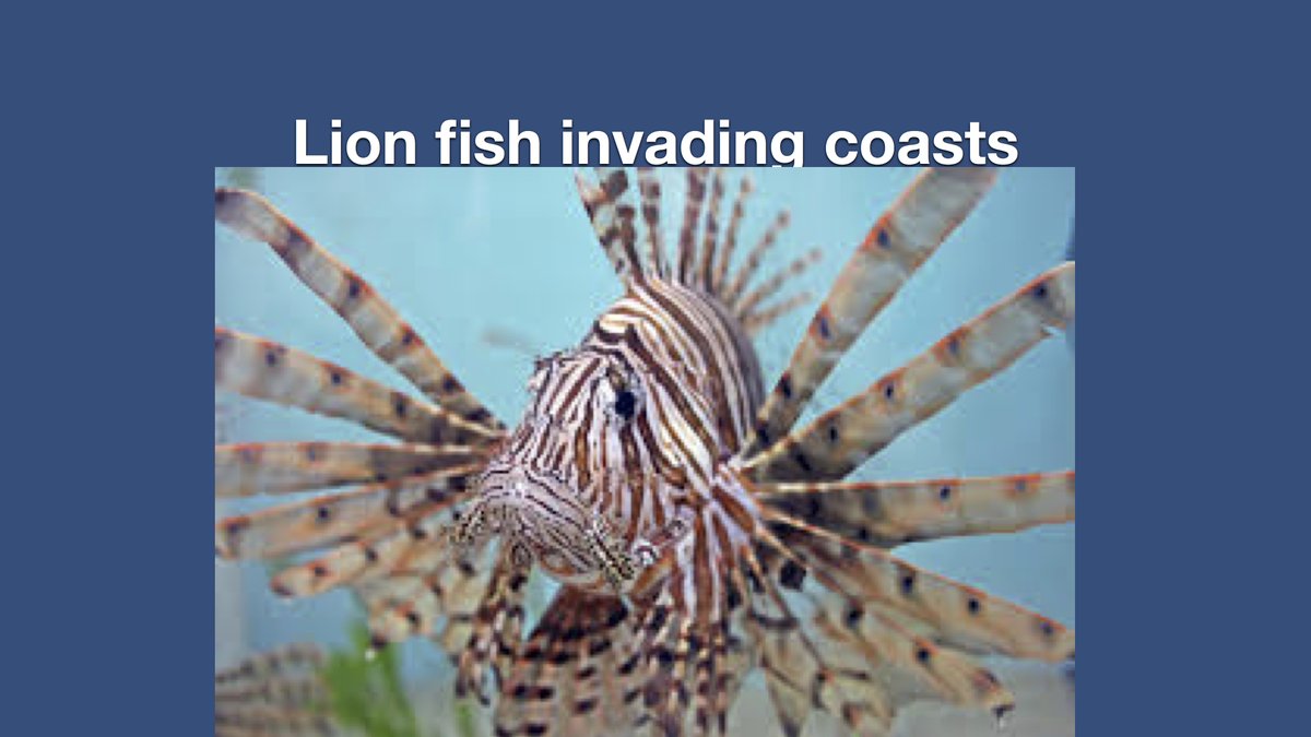 JamieBoyt1's tweet image. Science Olympiad #GatherIQ #WonderChallenge