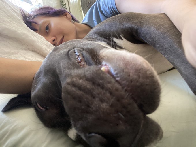 gonna get on twitch this afternoon. u can yell at me about animal crossing. maybe we&rsquo;ll catch up on news