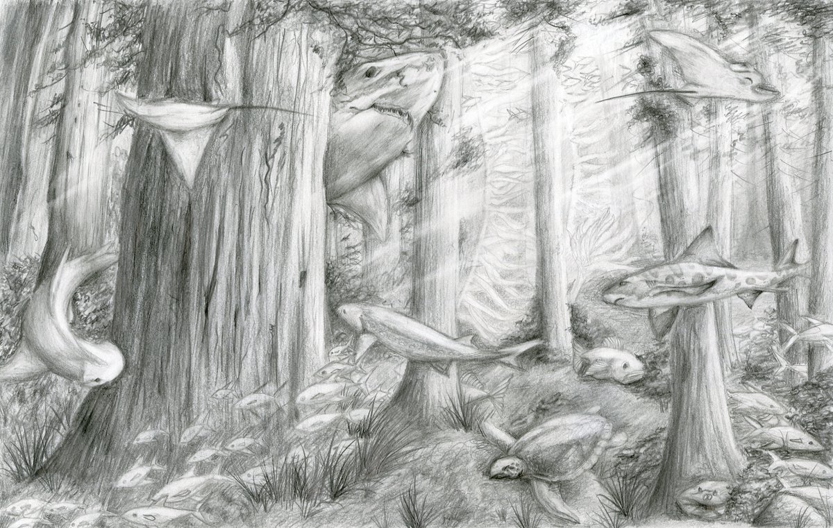 ...10th grader Jessica T. Pham drew a coastal forest submerged by the ocean, full of marine creatures...