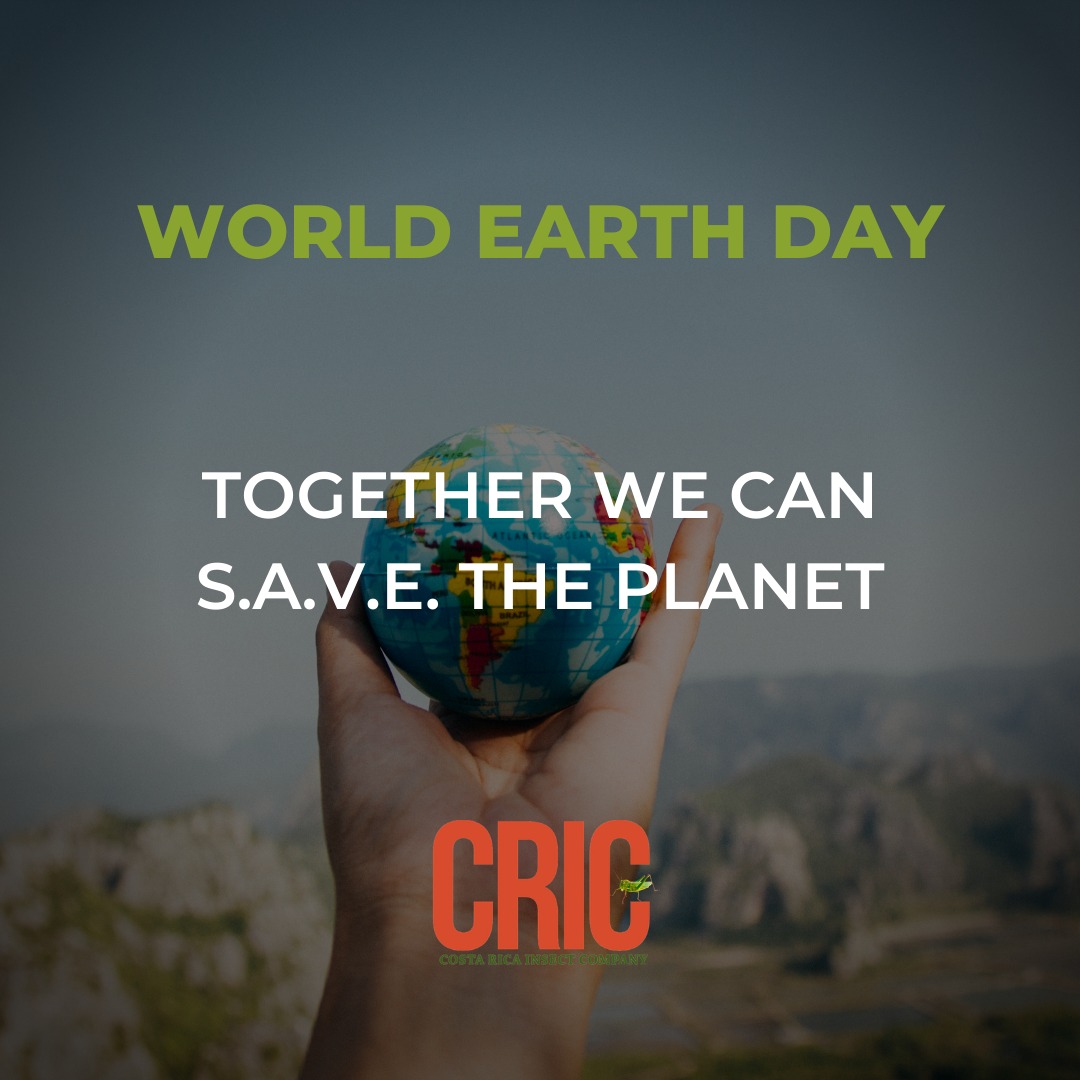 CRInsect's tweet image. Yesterday we talked about innovation and today we celebrate the reason why it’s important to innovate; today is the World Earth Day.
#CRIC #SaveTheWorldEatBugs #WorldEarthDay #earthday2020 #togetherwecan #savetheplanet