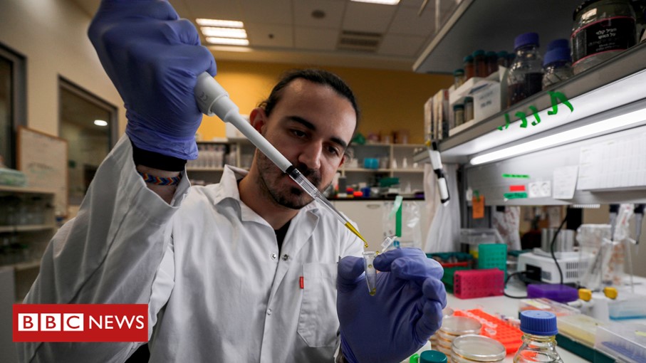 Scientist in a lab