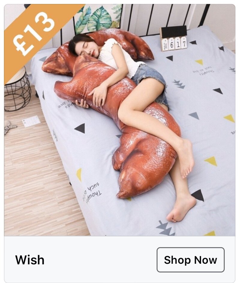 9. Do you want to cuddle a colon? Say no more!