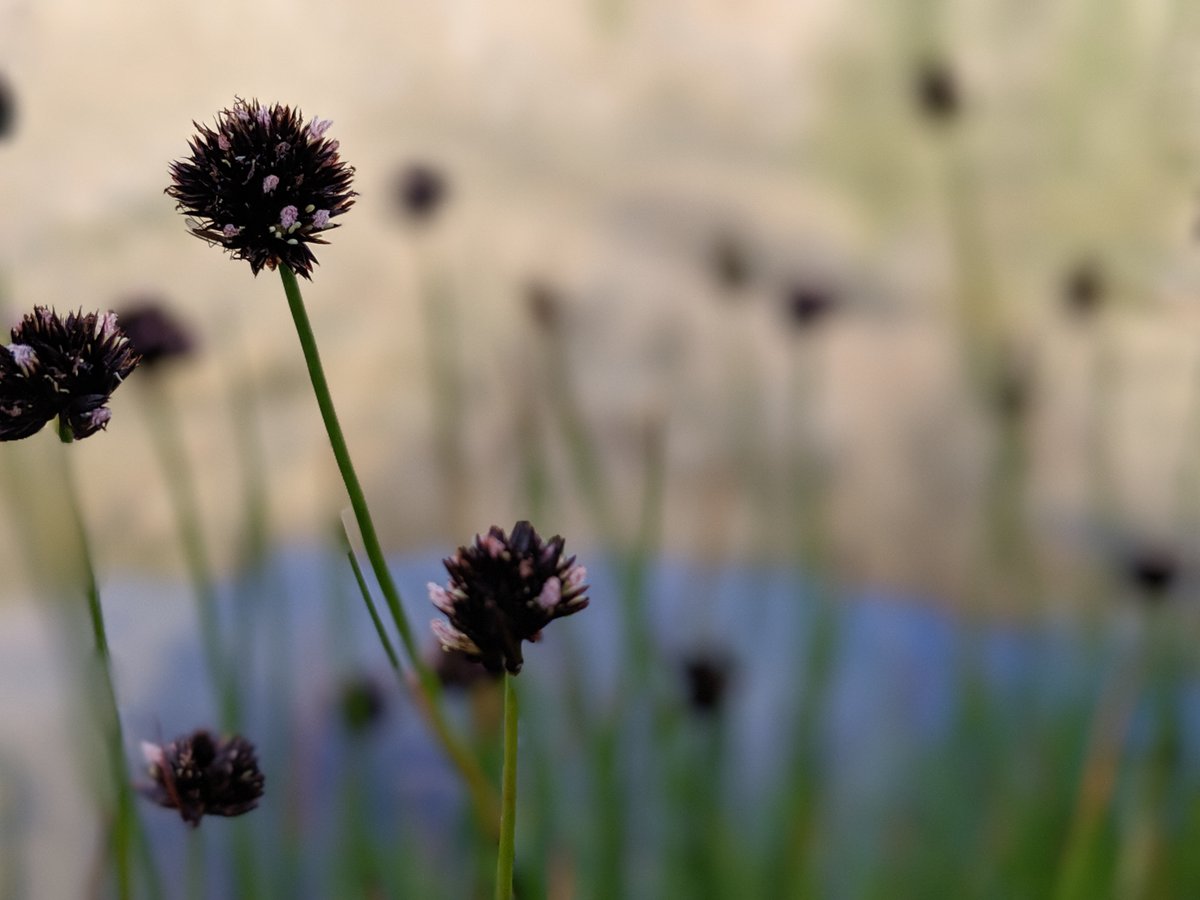 Happy #EarthDay2020  from the #HYTRACLab!