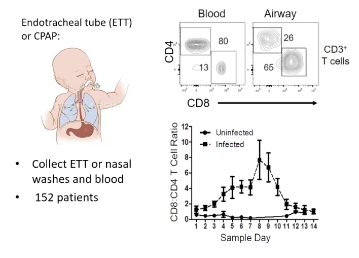 Even though you can readily sample blood, it's not always very representative of what's going on in the respiratory environment. In fact, most of the time it's not representative at all.  #FarberCOVID19