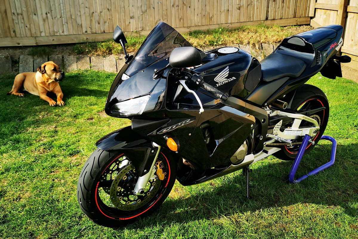 MrB1000RR's tweet image. Didn't really need it but washed and polished and fitted some tank grips.   Thanks Dray for the help. #techspec #boerboel