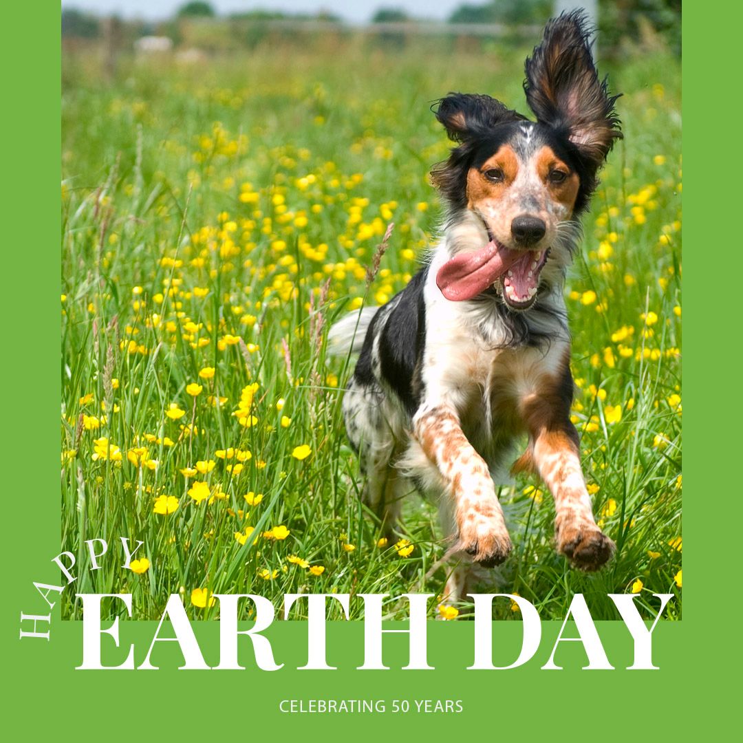 blackwellking's tweet photo. 🌍 💚 https://t.co/MBm7ptjWYl