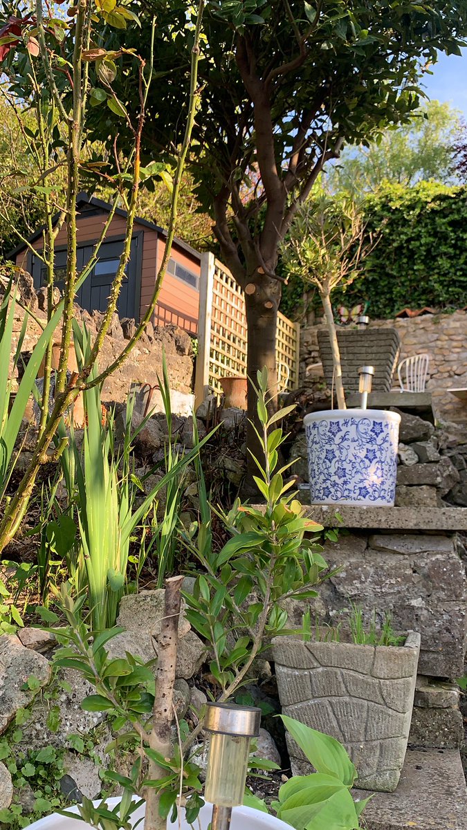 Okay, I am getting bored of this now. More gardening to be done with <a href="/LouisaGuy/">Louisa</a> #onlysomuchyoucantake