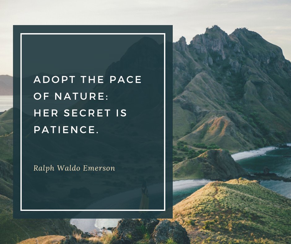 LivingROI tweet media