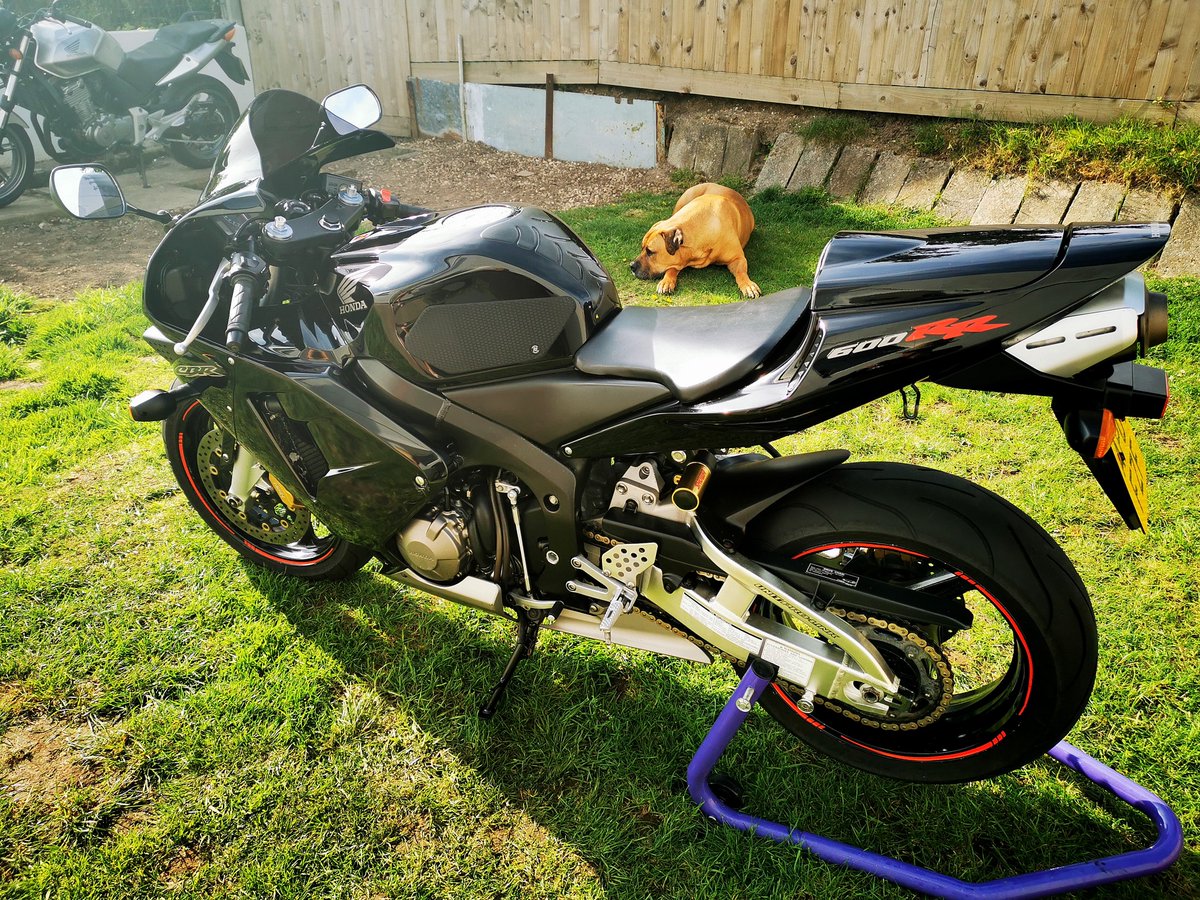 MrB1000RR's tweet image. Didn't really need it but washed and polished and fitted some tank grips.   Thanks Dray for the help. #techspec #boerboel