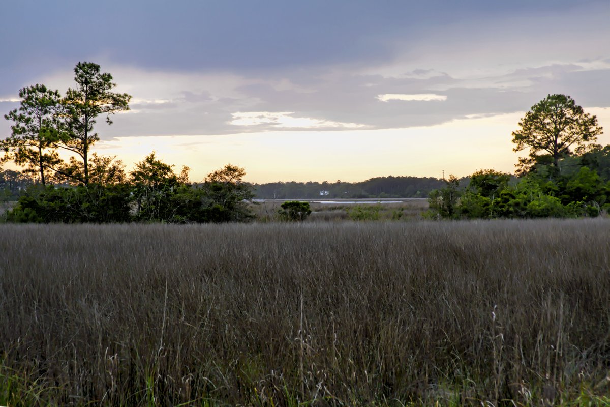 LandTrustMS tweet media