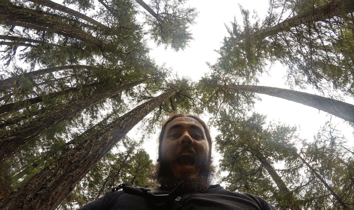 mridermusic's tweet photo. While time seems to be at a standstill, Ive been working diligently on album 3 of The Deep Dark River saga. Im excited to announce that it will be released on June 19th!
π
#deepdarkriver #morganridermusic #folkmusic #heavyfolk #folk #blues #symphonicmetal #soul #darkfolk #cello https://t.co/MuWrtlzu7X