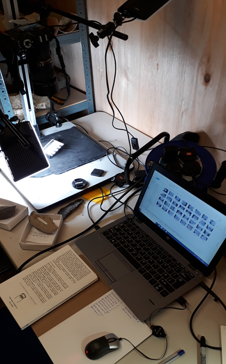 fossilforest's tweet photo. While we are a somewhat smaller operation, our collection is nonetheless unique, over 1000 Late Carbonifeorus paleobotanical specimens exclusively curated by volunteers from the local community and beyond! #MuseumsUnlocked #palaeobotany #palaeontology #paleobotany #paleontology https://t.co/VJROEUGkEy
