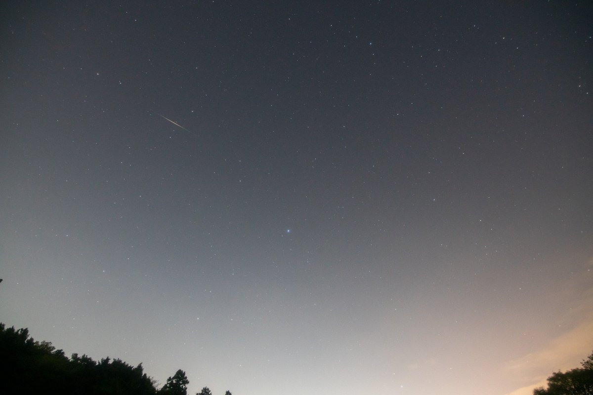 こと座流星群 流れ星はウツッテナイヨ ツイレポ