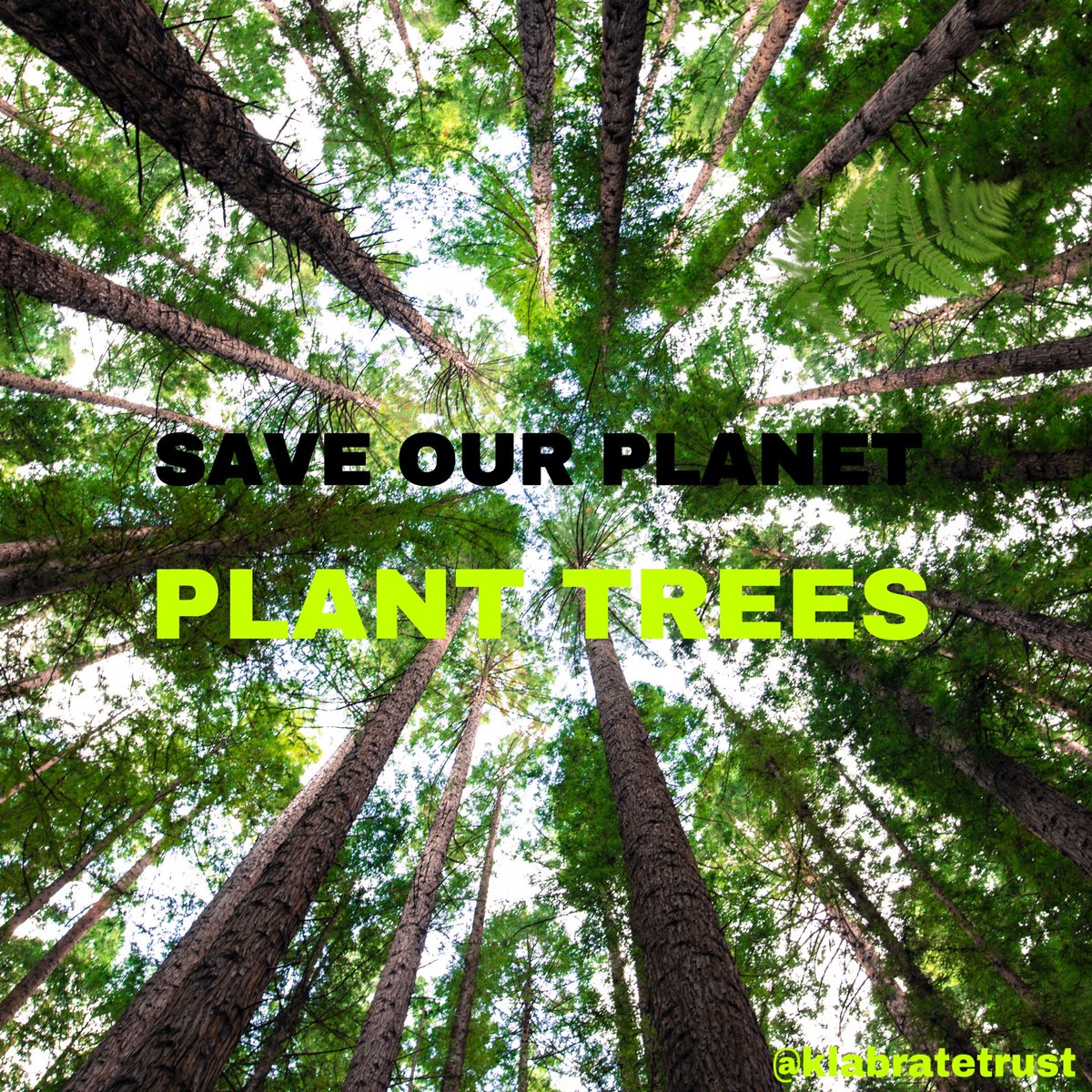 KlabrateTrust's tweet photo. We face irreversible damage to the natural world, but we still have hope. Together change can happen. If we all made an adjustment to our lifestyle, contributed towards environmental projects or changed the way we do business, we can create a more sustainable future #EarthDay2020 https://t.co/Ms2rkxs5RO