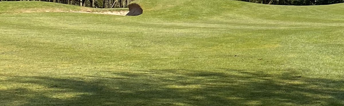 Abbeydale Golf Club tweet media