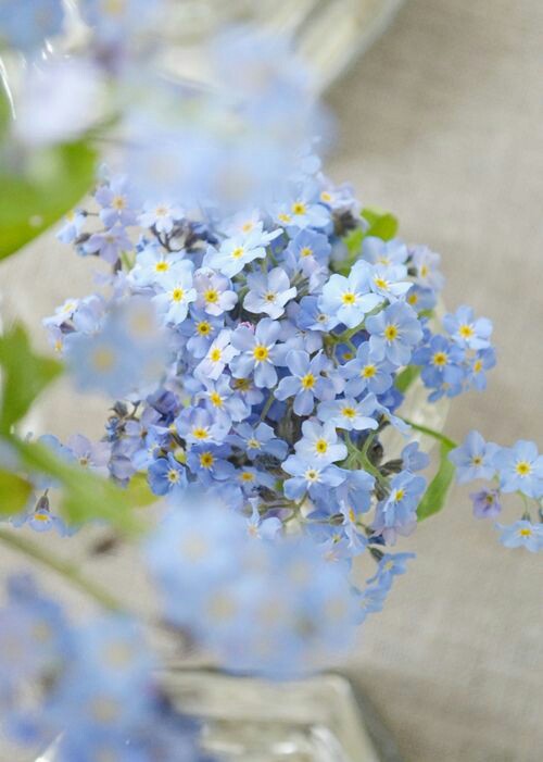 Jasmine🍀 tweet media