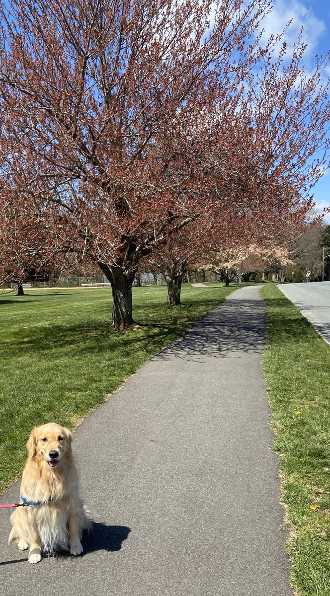 Happy 🌎 Earth Day! 💚 Jeter <a href="/TanyaEMcDonald/">Dr. Tanya McDonald</a> <a href="/scotthade/">Scott E. Hade</a> <a href="/SHS_M_A_P_S/">Ville MAPS Program</a>