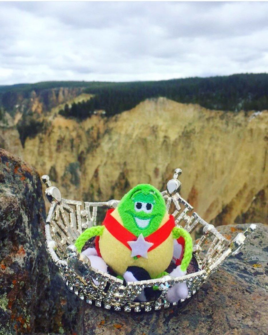 MissCAOrg's tweet image. Happy Earth Day from the #PistachioDude!

In honor of #EarthDay, Miss Yosemite Valley has a question for you! Do you know which National Park this is?