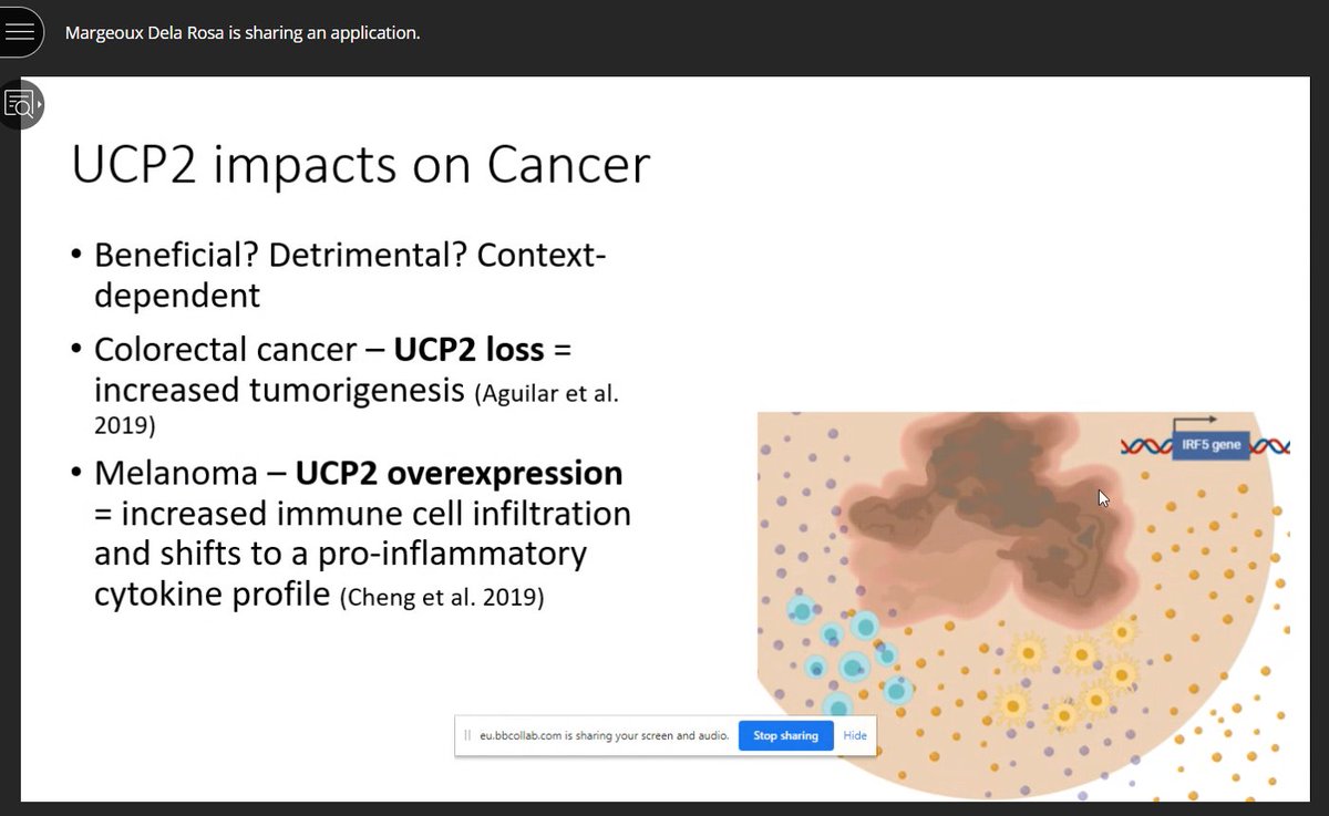 👉We had our first virtual Bitesize seminar today! Many thanks Margeoux Dela Rosa from @UeaMed for such a great talk about UCP2 mitochondrial protein and its involvement in metabolism. 👏 ☝️The next Bitesize seminar will take place on the 6th of May. @ueasu_pg @UEA_Health