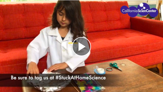 casciencecenter's tweet photo. 🌊⛵🌊 Learn the science behind boats floating in today's #StuckatHomeScience activity! Watch video at https://t.co/EZxKHJwJUm. #CaliforniaScienceCenter #BigLab #Scientist #StayHomeStaySafe #FloatYourBoat https://t.co/E7xHjKB3Fo