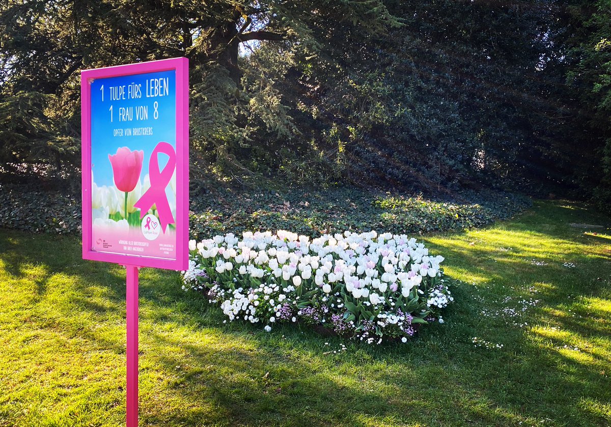 🌷🌷🌷«1 Tulpe fürs Leben»
Auch die Gemeinde Cham beteiligt sich an der vom Verein #laimantrose initiierten und koordinierten Kampagne. Um ein Symbol gegen Brustkrebs zu setzten wurden rosarote und weisse Tulpen im Villette-Park gepflanzt.
#villette #mehrDrin #werkhofCham