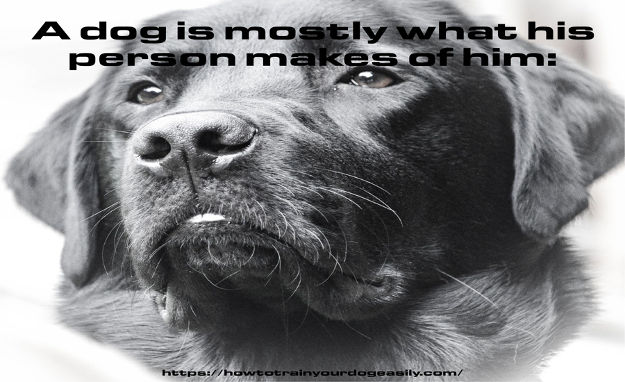 FNotpit's tweet photo. A dog is mostly what his person makes of him:
https://t.co/G8tgDYluTT
#dogbarking #pottytrainingpuppy #dogobediencetraining
#howtotrainapuppy #howtopottytrainadog #howtostopapuppyfrombiting
#howtotrainadog #dogtricks #howtogetapuppytostopbiting https://t.co/IQIi5koWM2