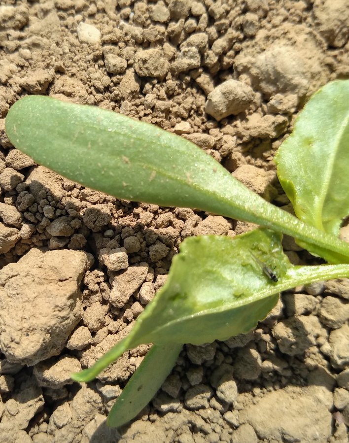 ITB - 60 tweet media