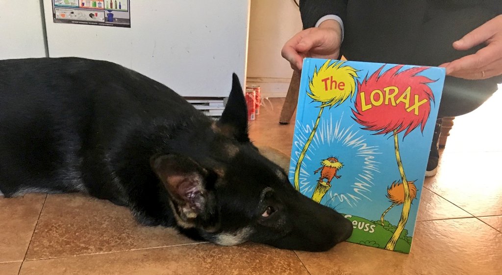 APLDeborahK's tweet photo. For today's edition of Ms. Cindy and Teddy read together, we're celebrating #EarthDay with THE LORAX by Dr. Seuss. "I am the Lorax. I speak for the trees". It can't be said any better. This timeless book points out that one small seed can and will make a difference! #APLReads https://t.co/Xywyx8RMLP