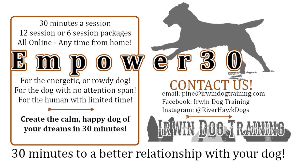 dogitmayconcern's tweet photo. Launched a new online training program. Share it around. It's all digital and available to any one in the world! Access to a certified trainer and behavior specialist! We do cool things and your dog will thank you for it! (Mostly by not eating the couch or driving you nuts.) https://t.co/5NLYEHG2f6