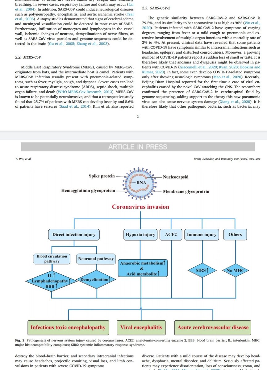 And then there are Research papers which how COVID-19 affects Brain causing respiratory failures, nervous system and even lead to diseases like Meningitis & Encephalitis.