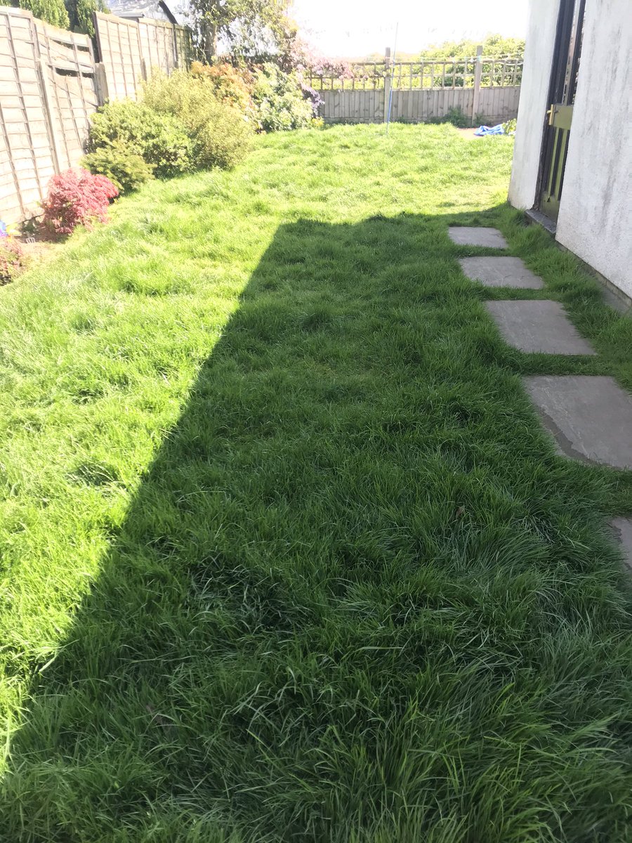 Magic__Gardens's tweet photo. First visit at a new customer today and already the hard work is paying dividends! https://t.co/0cKTlCj8zO