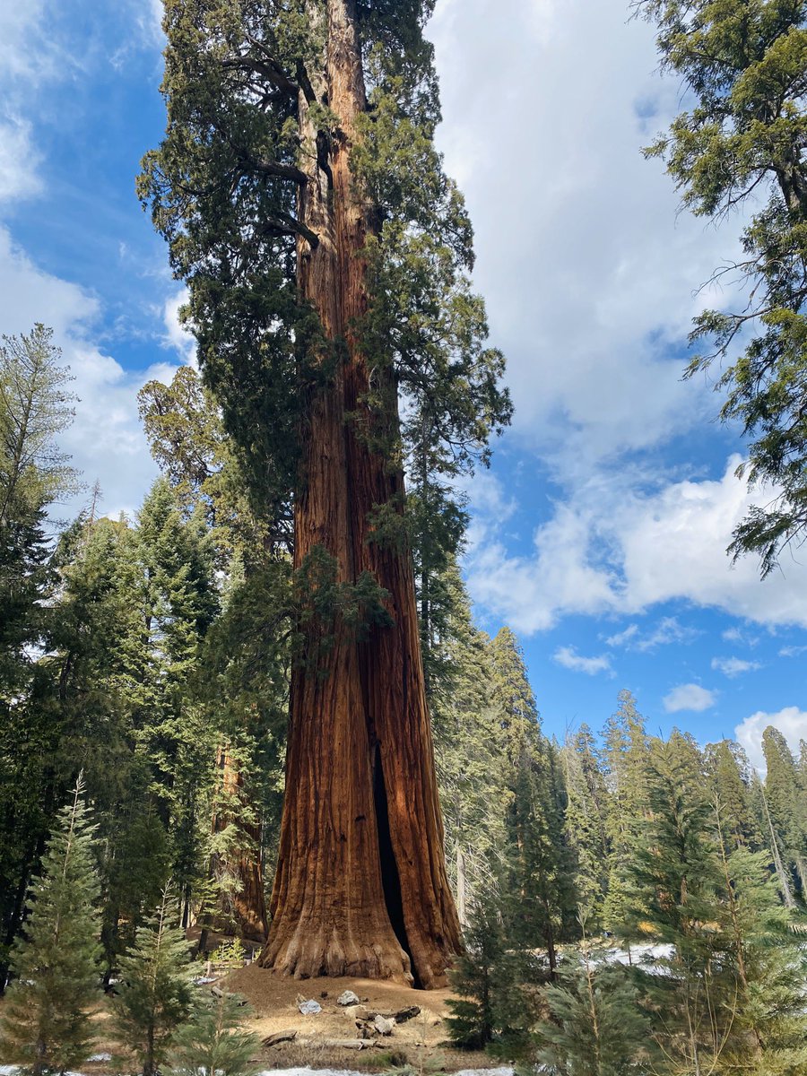 ashleysboat's tweet photo. road trip through California 🚗#EarthDay https://t.co/3XDtnqYagz