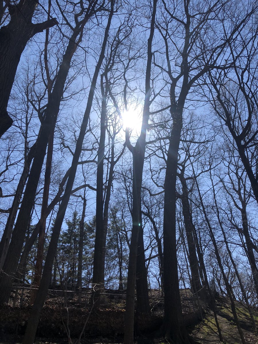 mscaufield33's tweet photo. Normally at school I would be celebrating EARTH DAY... this year I posted some info in my GC and generated a discussion. Then headed OUTSIDE with my 2 favourite SK students for a 3 hour trek! HAPPY 50th EARTH DAY! #getoutside #socialdistancingoutside 🌲🌳🌞🌎🌈 https://t.co/dnZTDgGKEx