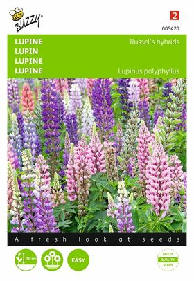 4. lupin - russel's hybrid mix !! nice colors good in shade periannal everything slay