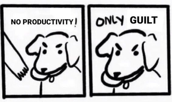 Why is this so fucking accurate