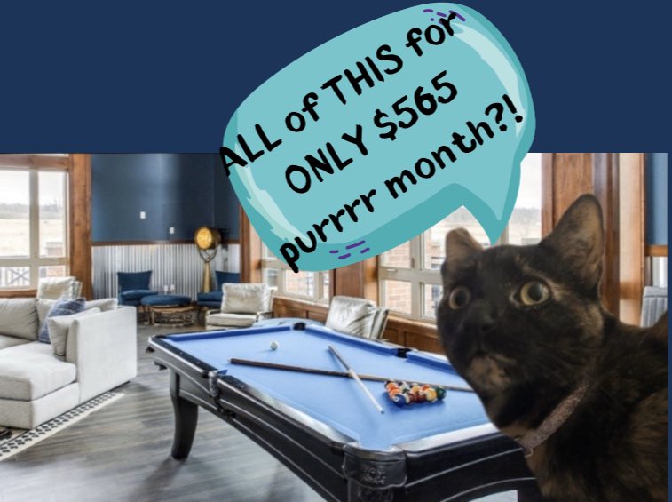 🤩🤩CAN YOU BELIEVE THIS?!🤩🤩 

ALL of this for ONLY $565 PURRRRR month! 
.
. 
SIGN MEOWWW! This deal won’t last long‼️
.