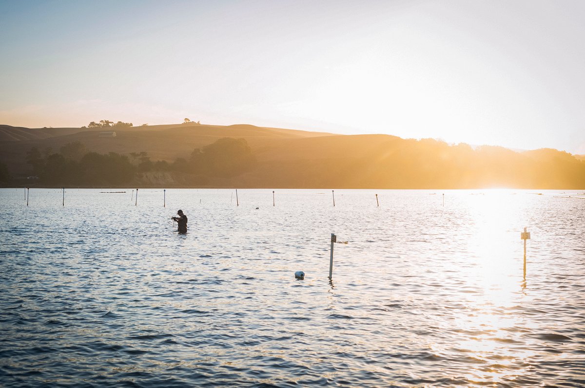 Happy Earth Day! 🌎 #savetheworldeatfarmedoysters

Support your local oyster farm today and every day: bit.ly/2VNENw5