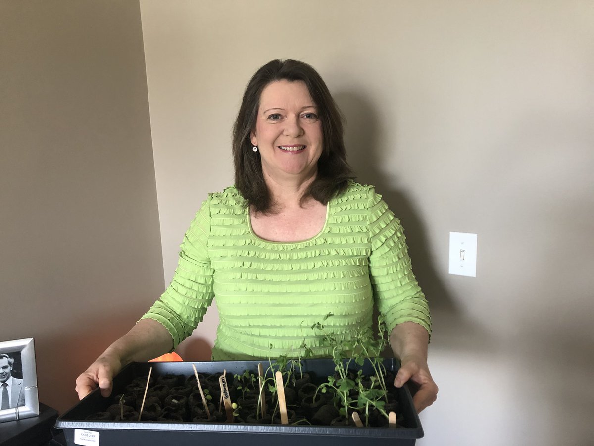 MsBowenCole45's tweet photo. Happy Earth Day! I’ve been trying to grow some seeds at home. #BringingNatureInside #EllengalePS #EarthDay2020 #EarthDay50 #EarthDayAtHome https://t.co/HCffp3MWjO