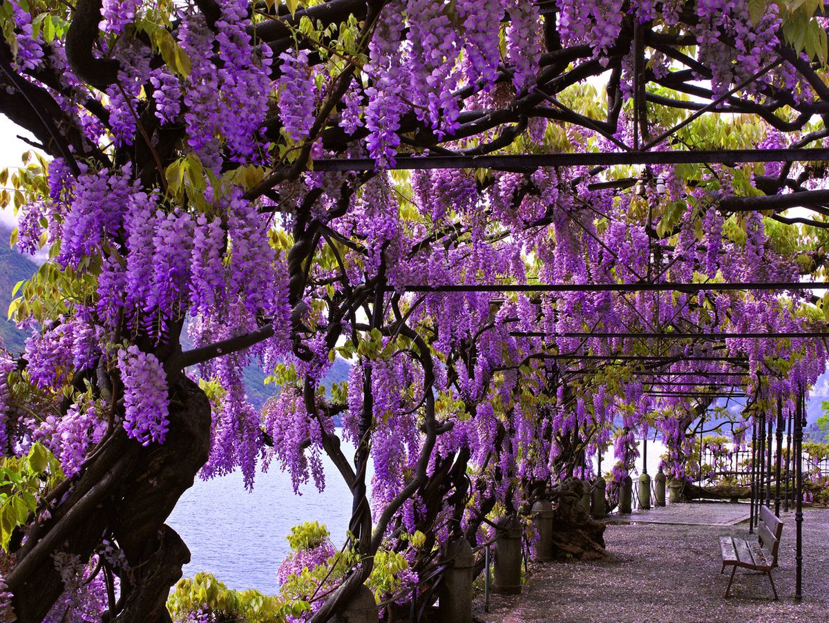 williamcarrart's tweet photo. #HappyEarthDay 🌍 Let the pictures transport you to  these beautiful places all around the world. Enjoy celebrating the 50th anniversary and all of the wonderful nature that our Earth has given us. Which of these places would you like to visit most? 

https://t.co/JHQ35iHqCh https://t.co/TgxAH8nT8u