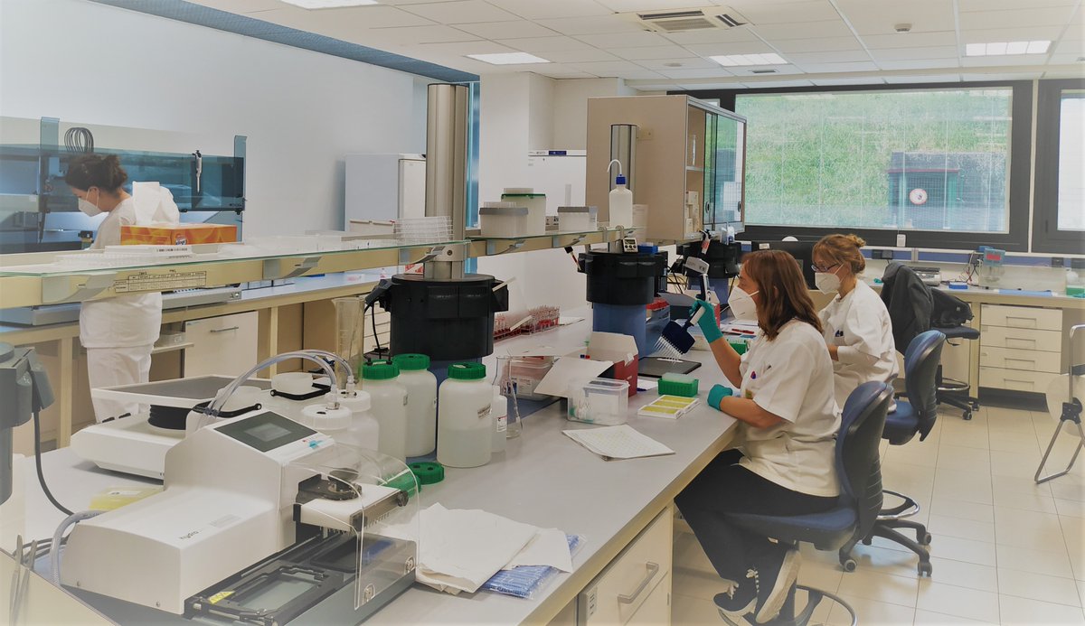 GipuzkoaLanda's tweet photo. Aún en estado de alarma, en el #Laboratorio #Fraisoro seguimos velando por la #salud del #ganado.Este año,aplicando el nuevo programa contra la enfermedad #IBR, el objetivo es hacer el análisis a todo el ganado bovino.Ya se les ha realizado a todos los que subirán al monte.🐮💉🌡 https://t.co/9r5ldb9YnN