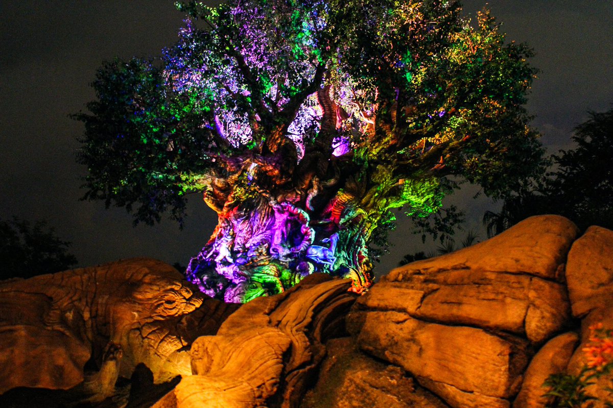 nuffnoof's tweet photo. 🎶 We will stand by your side
Filled with hope and filled with pride
We are more than we are
𝑾𝒆 𝒂𝒓𝒆 𝑶𝒏𝒆🎶
#DisneysAnimalKingdom #EarthDay https://t.co/AYNINoi8AU