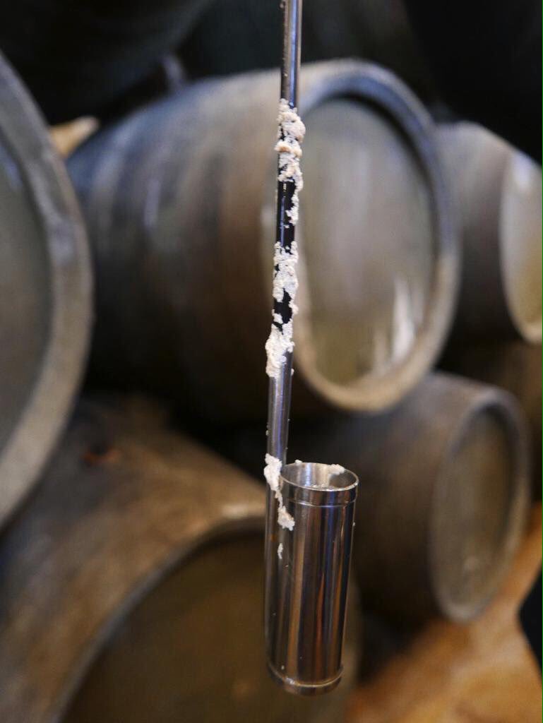 Pronto, muy pronto.... Tío Pepe en rama 2020 #VuelvelaVida