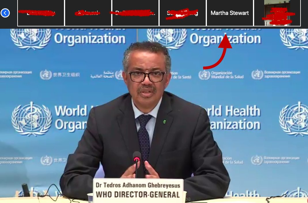 Inquiring minds want to know: Was she really on WHO's #Covid19 telebriefing today?